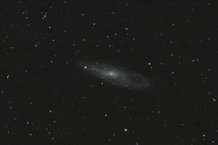 NGC 247