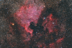  NGC 7000 - IC 5067 - IC 5070