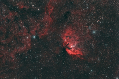 Sh2-101, neb. Tulipano